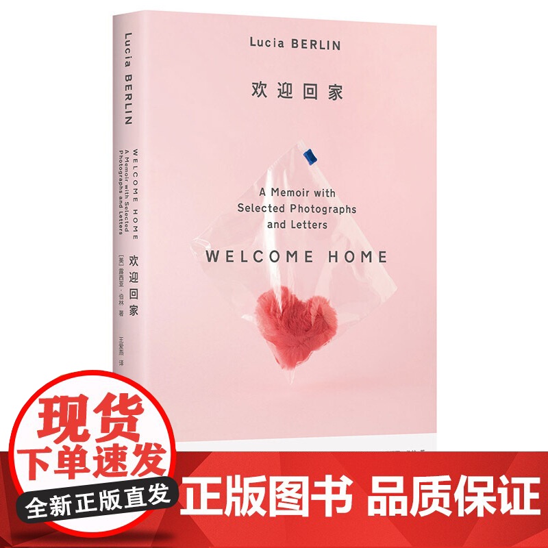 欢迎回家(“离经叛道”的传奇女作家伯林回忆录,给人生阵痛、城市漂泊 露西亚·伯林 北京十月文艺出版社 正版书籍高清大图