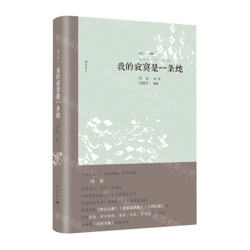 [N]我的寂寞是一条蛇/双子座文丛-9787540792572高清大图