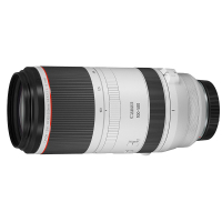 佳能(Canon) RF 100-500mm F4.5-7.1 L IS USM远摄变焦镜头 适合佳能EOS RP R R5 R6等全画幅微单相机 礼包版