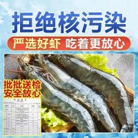 青岛大虾 整箱3.6-4斤 18-20厘米左右 顺丰速运 新鲜日期 冰鲜虾活新鲜大虾 基围虾水产冻虾