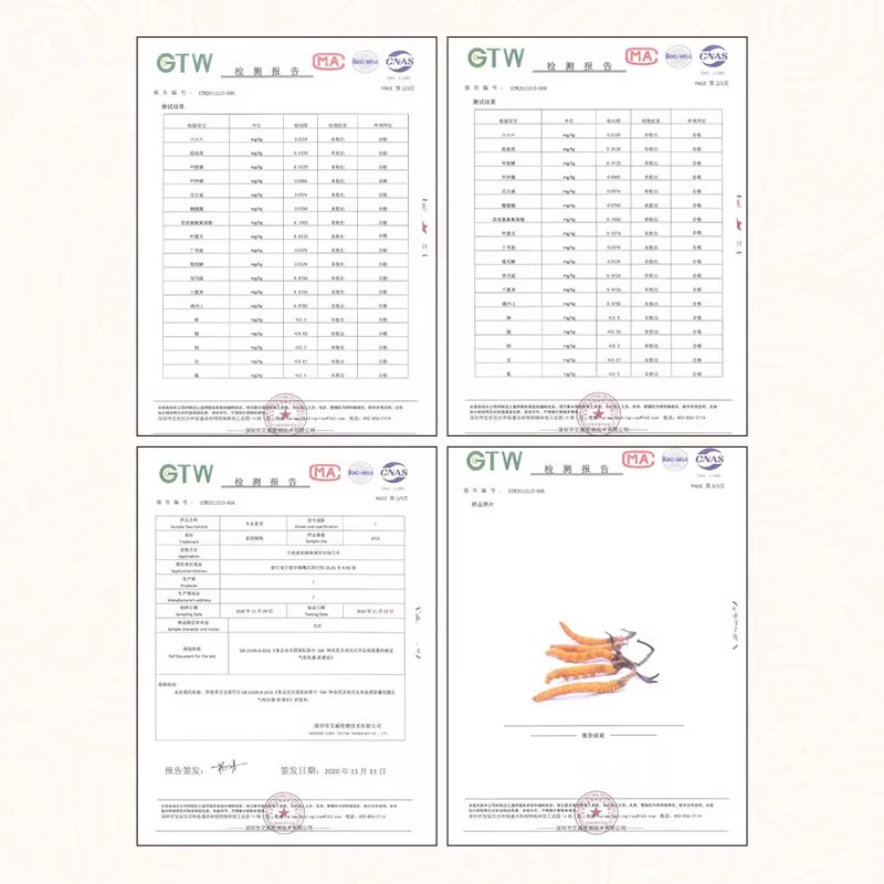 索朗顿珠冬虫夏草3根/克(15根5克)简易装头期正品干草礼盒装
