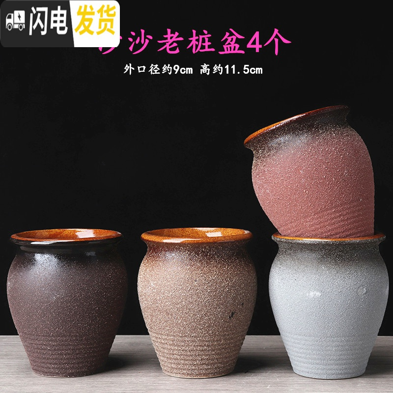 三维工匠多肉小老桩花盆陶瓷个性多肉盆透气粗陶多肉植物花盆 绲锦老桩2个 中等花盆容器
