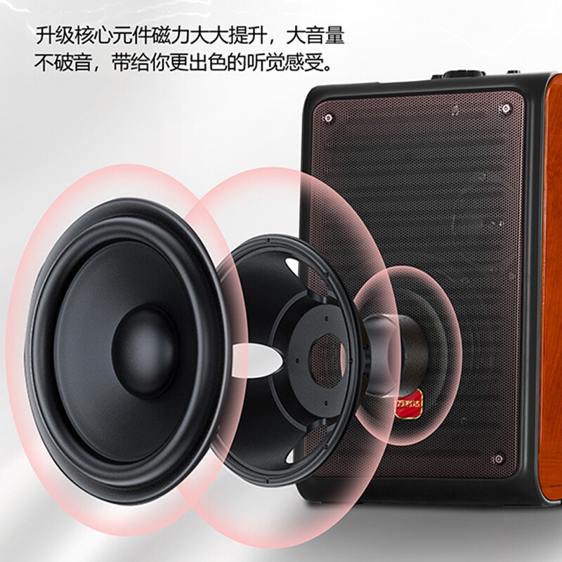万利达(malata)M+9112广场舞音响蓝牙音箱低音炮户外直播音响带声卡无线扩音器移动便携式网红声卡直播音响