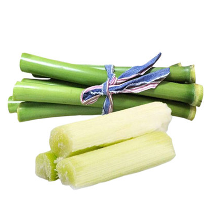 甘蔗种籽种子籽青皮甜高粱小北方南方四季高糖甜杆种植水果高粱杆