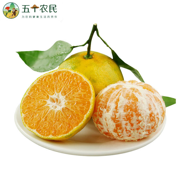 [五个农民]宜昌蜜桔3斤装青皮无籽蜜桔新鲜酸甜蜜橘桔子新鲜水果