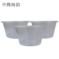 中腾海韵 一次性餐盒 500ml 450个/箱