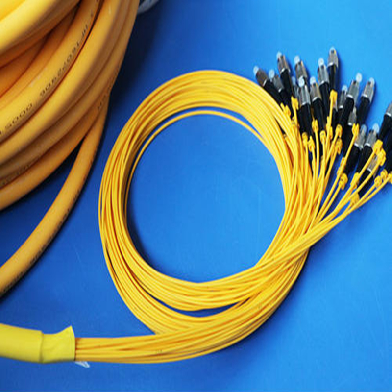 贝尔兰德 电信级 跳纤 5m fc-lc 48芯集束跳纤