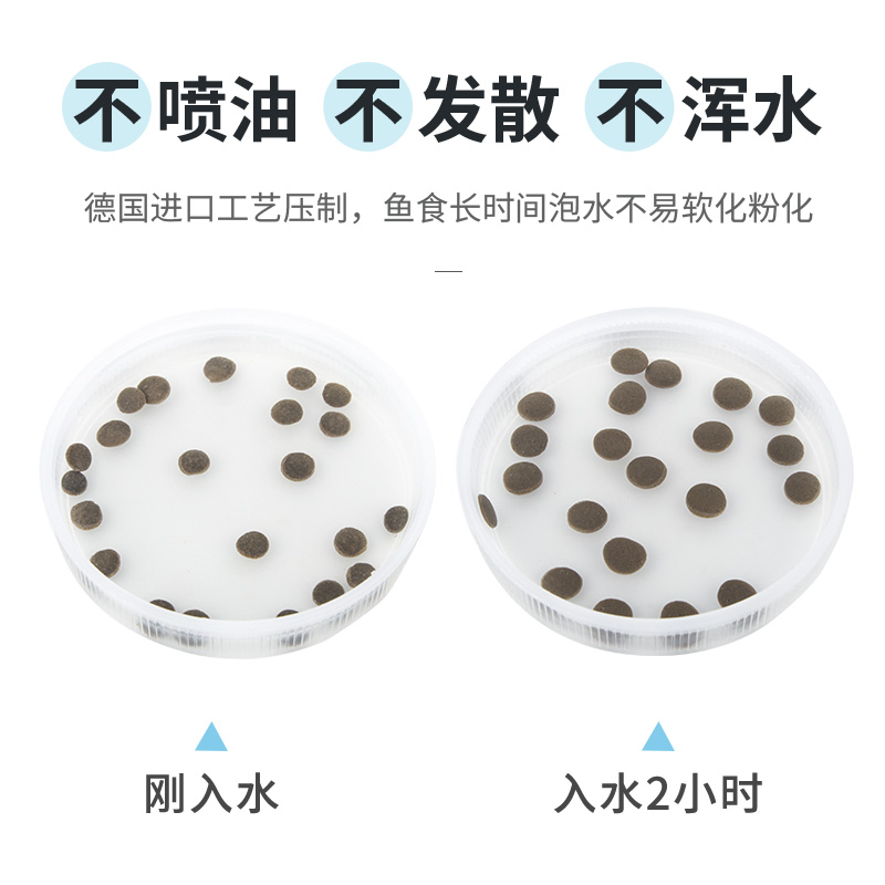 底栖鱼饲料异形猫清道夫鼠鱼蓝虎头鲨下沉底型胡子鱼食高清大图