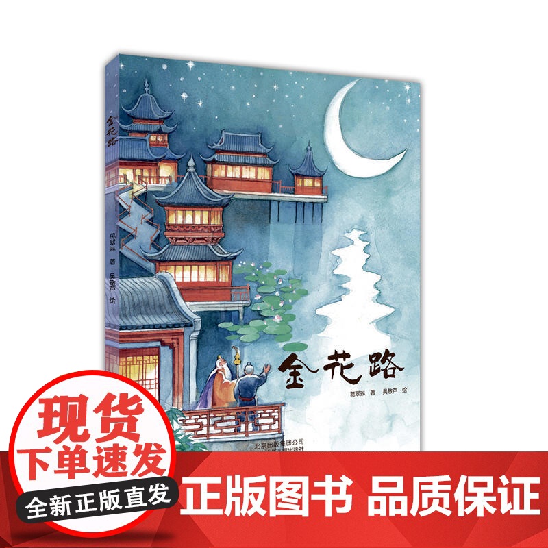 金花路高清大图