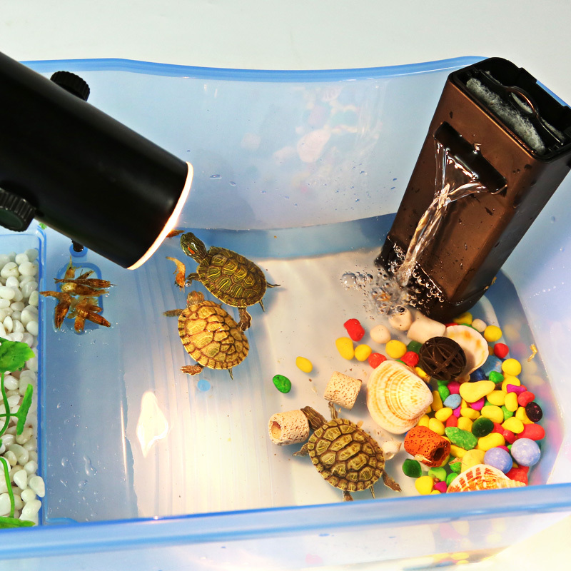 特价塑料乌龟缸带晒台别墅大号龟盆排水口养大乌龟专用缸带造景蓝色