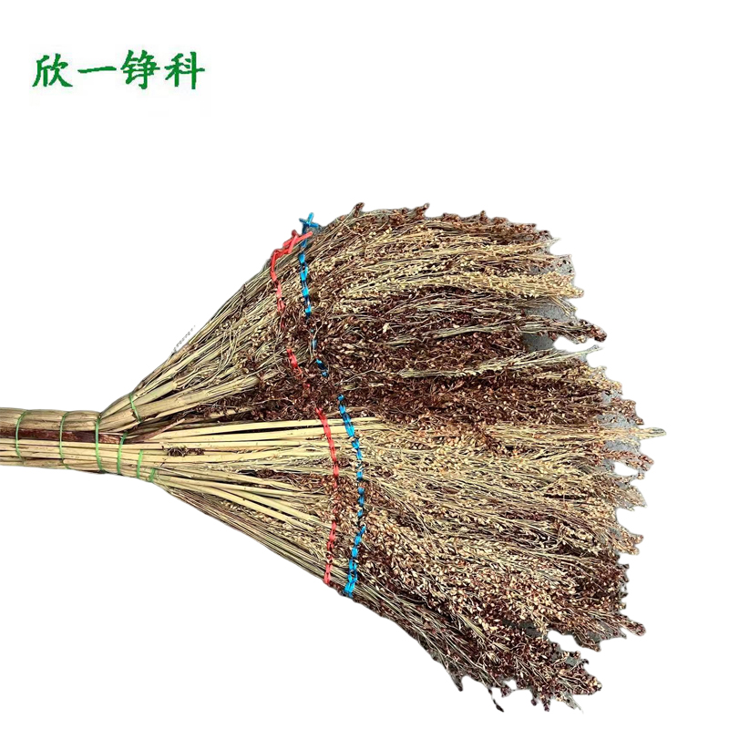 欣一铮科 笤帚 小号 把(小号)高清大图