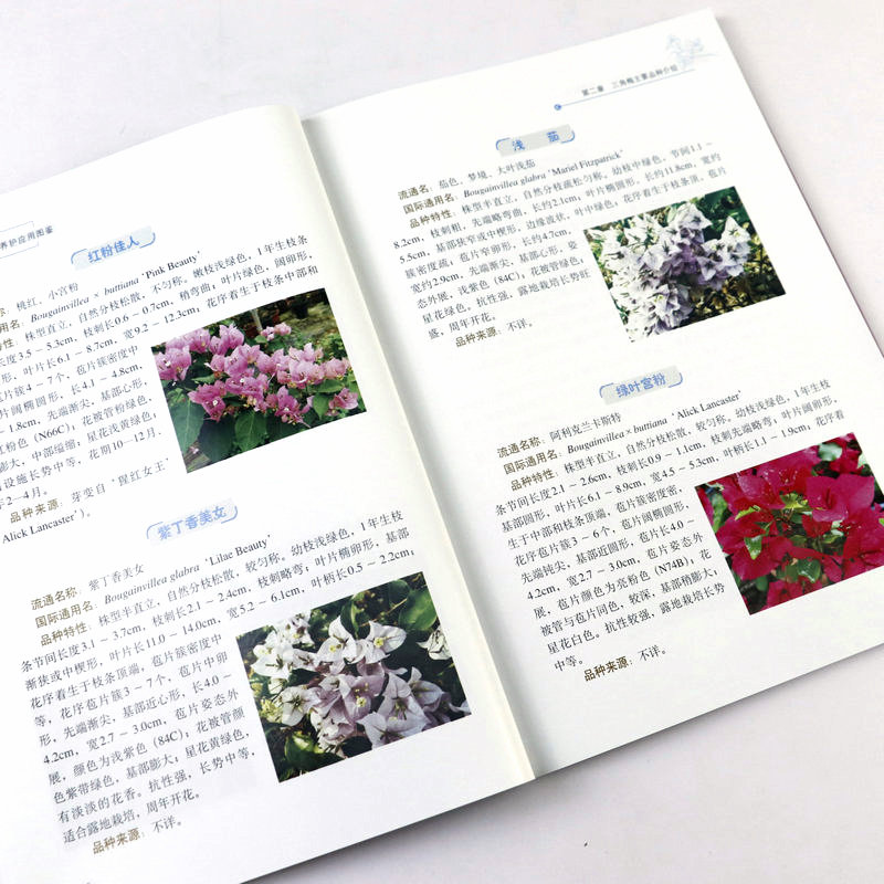 [正版]三角梅品种栽培养护应用图鉴 三角梅光叶子花和叶子花园艺养护栽培与鉴赏书籍高清大图