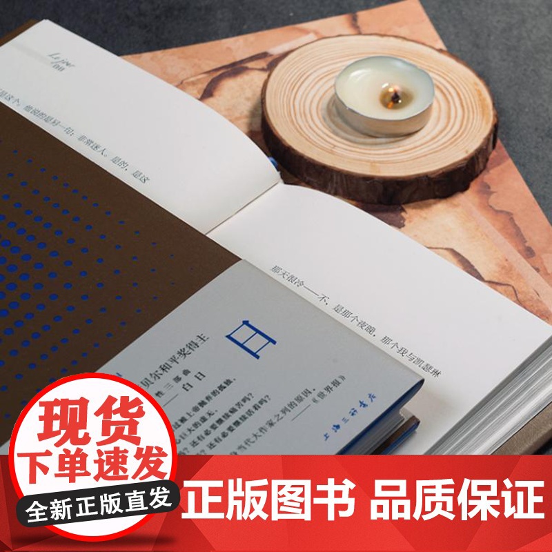 白日 9787542683373 上海三联 埃利 威塞尔 著 2024-06高清大图