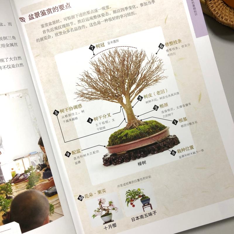 [醉染正版]树木盆景制作完全图解 盆景书籍盆栽书籍 盆景造型设计图盆景制作书养护书籍盆景艺术造型书树木盆景造型设计书高清大图