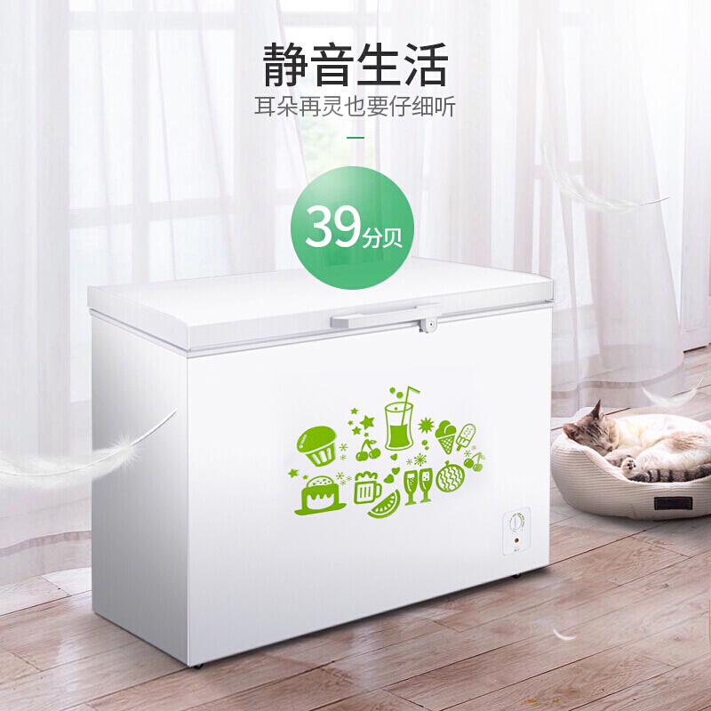 容声 BD/BC-309MD 309升大容量单温冰箱冷柜 一级商用冷藏冷冻冰柜 1130*767*852