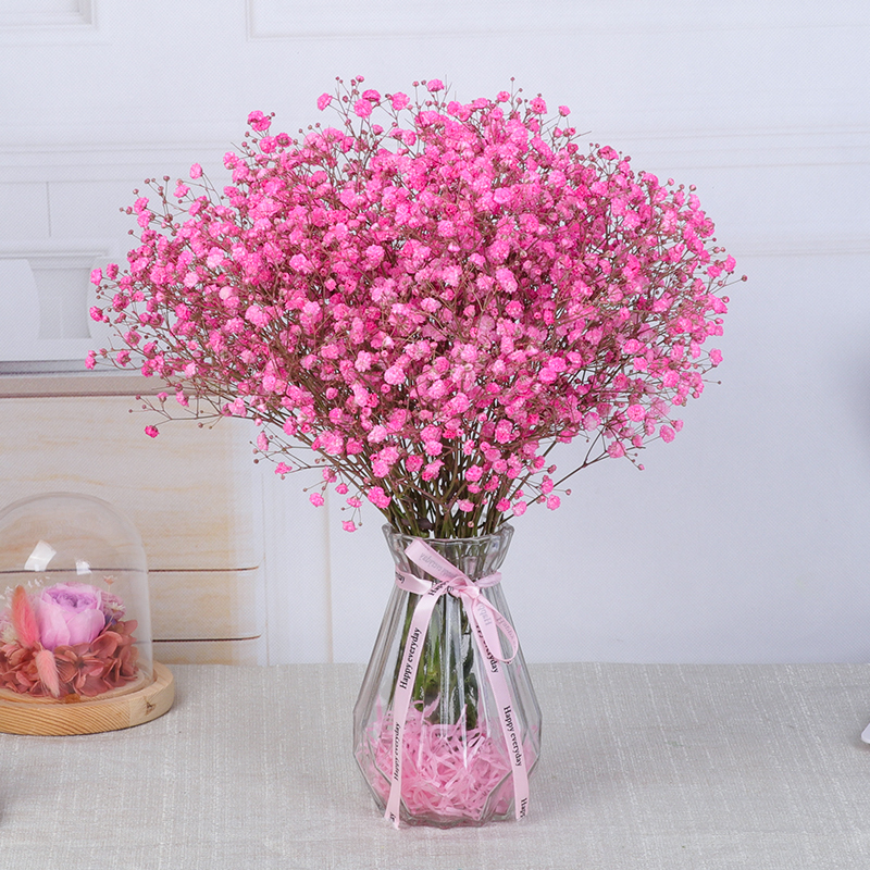 干花家居装饰摆件真花满天星干花花束带花瓶客厅茶几电视柜摆设 染色粉色满天星不带花瓶报价 参数 图片 视频 怎么样 问答 苏宁易购