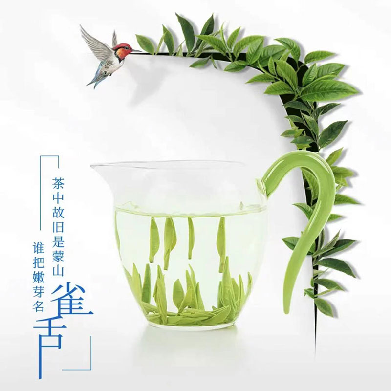 知茶茶叶雀舌绿茶罐装625g罐早春明前嫩芽绿茶高清大图
