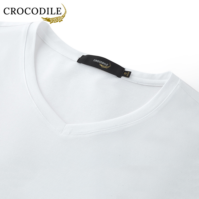 鳄鱼恤CROCODILE 夏季男士亲肤柔顺绣花短袖T恤男高清大图