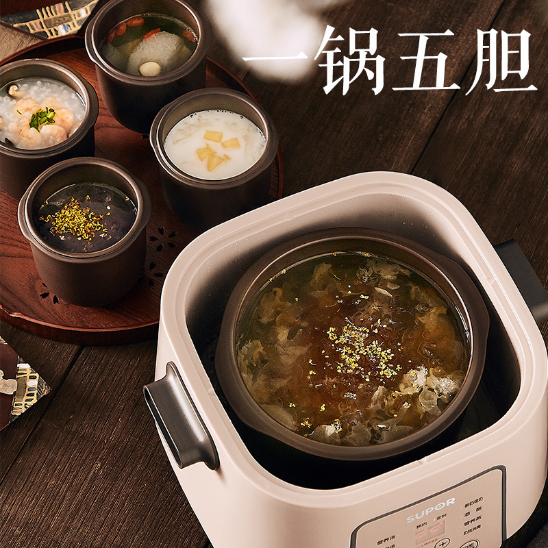 苏泊尔(SUPOR)电炖锅 电炖盅 煲汤锅炖汤锅2.5L/升 紫陶炖锅一锅五胆隔水炖 酒酿养生锅 DZ25YC868