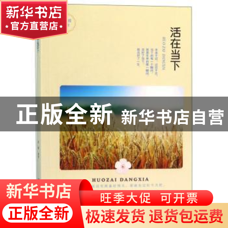 正版 活在当下 晓霞 煤炭工业出版社 9787502073404 书籍高清大图