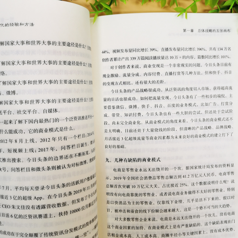 [正版]21张战略画布 中小企业战略涂鸦化的经验和方法 企业管理经营书籍 中小企业的转型升级和资本战略 销售团队这样带
