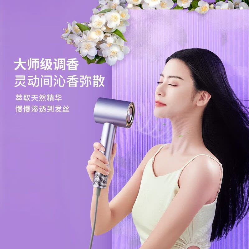 西屋(WESTINGHOUSE)家用高速吹风机大功率香氛负离子电吹风大风力吹风筒 HS500 流光紫图片