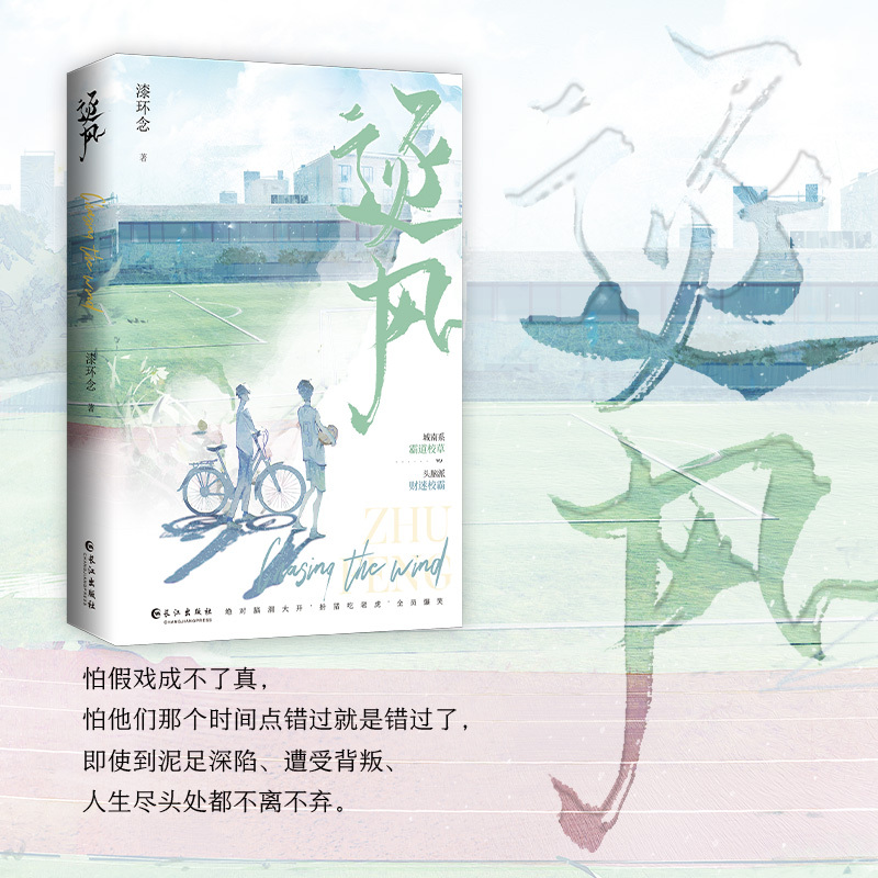 [正版]逐风 漆环念 城南霸道真校草VS头脑派财迷伪校霸 朝俞这题超纲了 双男主校园甜宠书