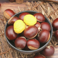 【中华特色馆】菏泽馆葵哥新鲜毛板栗500g 个大去皮 华东