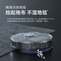 石头(Roborock) 扫拖机器人T7S Plus擦地机器人家用智能扫地拖地吸尘三合一体 肖战同款