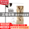 正版 雕塑技法:抽象雕塑 (法)克里斯蒂娜·鲍斯著 广西美术出版社