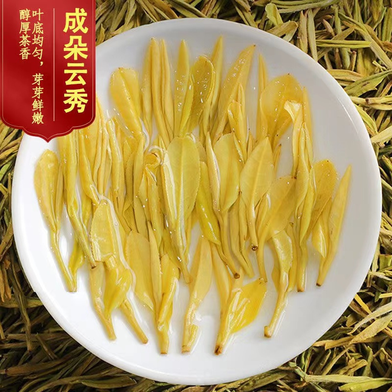 中闽与恩白茶黄金芽2024年新茶明前特级春茶茶叶250g罐装散装绿茶茶叶