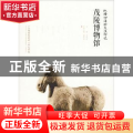 纵横四海的大汉印记:茂陵博物馆