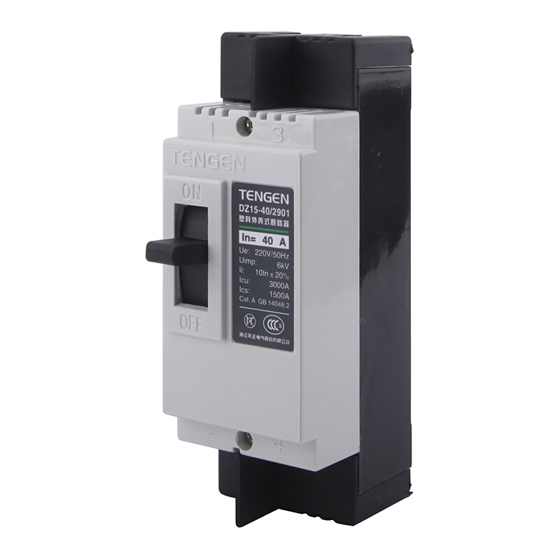 天正电气 DZ15-40 3KA 热磁式 40A 2P 手动 固定式 220V 01040030028 塑壳断路器