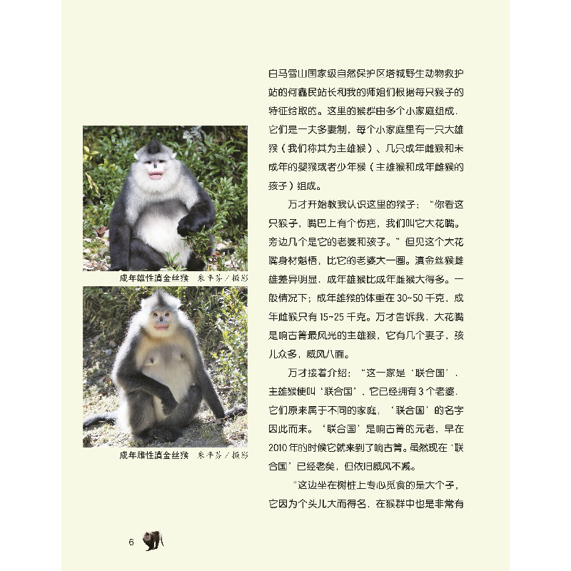 正版新书]红唇美猴传奇赵序茅,李明9787514843033高清大图