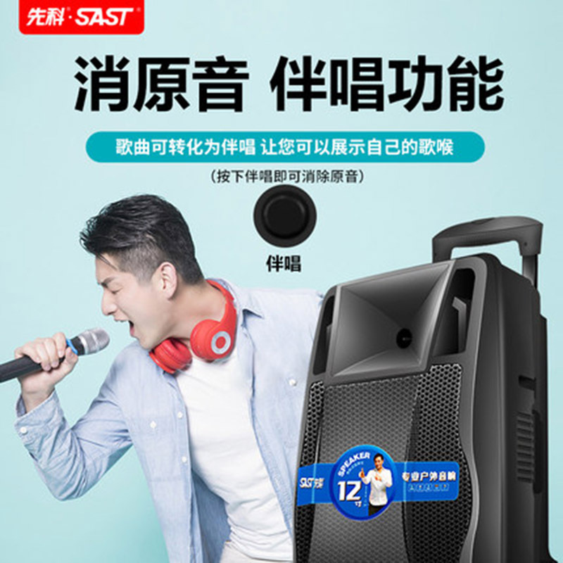 先科天韵2号广场舞音响音箱户外带无线话筒K歌家用拉杆移动便携式大功率充电蓝牙舞台重低音室外演出播放器12寸 标配+双话筒