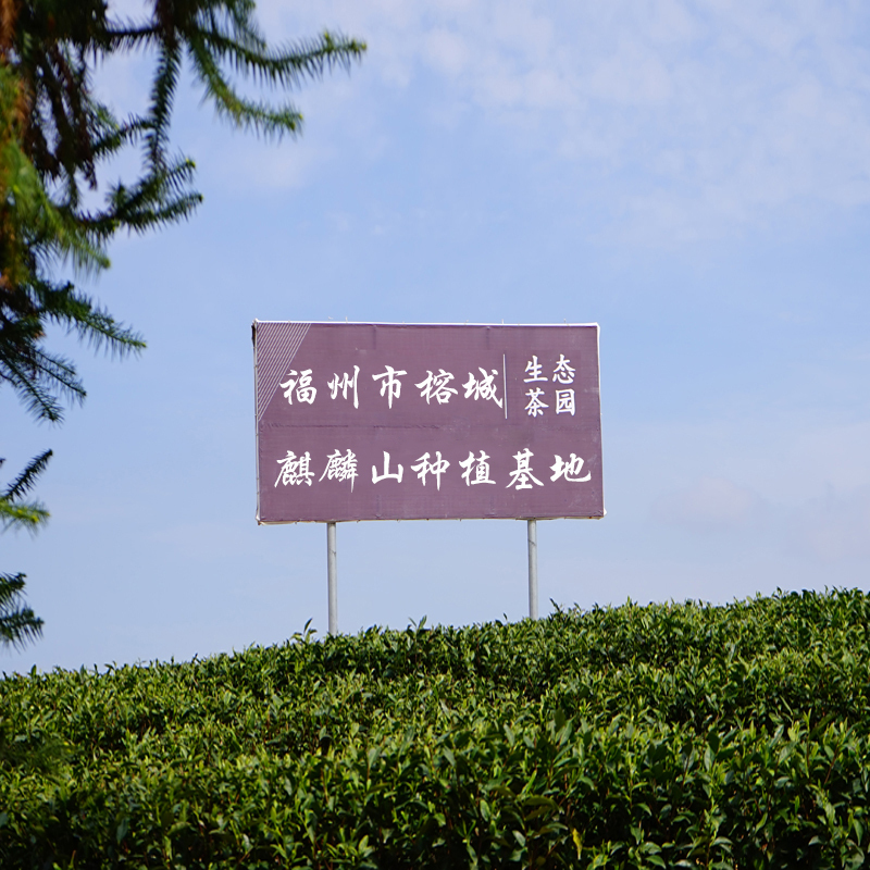 麒麟山 精选特级红茶200克榕城城门出品(新茶)