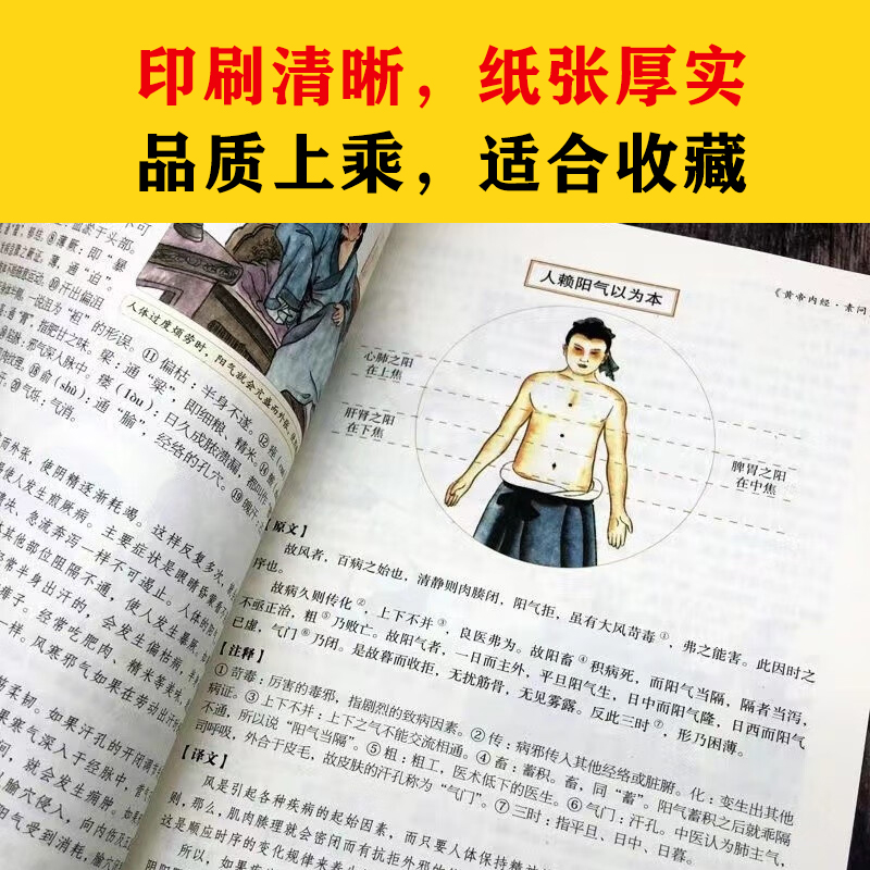 [正版]彩色图解《黄帝内经》中医家庭保健中医中药食疗图书保健中药养生家庭保健彩色图解黄帝内经全彩xr高清大图