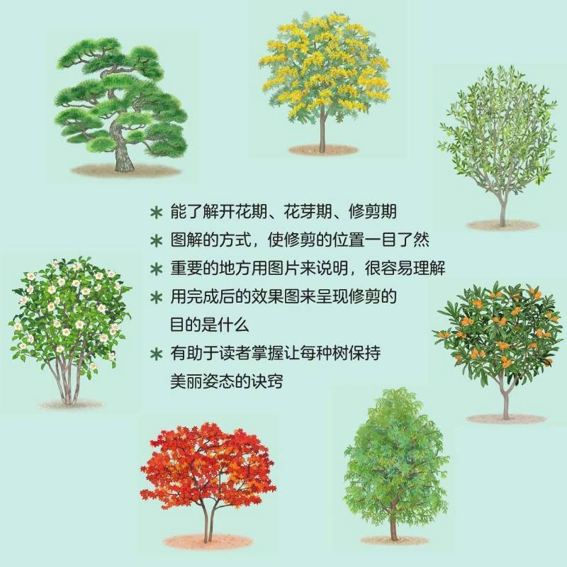 常见庭院花木修剪全图解 巫建新,蒋泽平 译 专业科技 文轩网