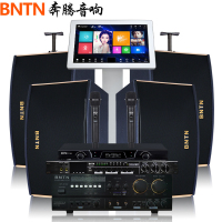 奔腾(BNTN)KTV音响套装 家庭影院点歌机卡拉OK无线k歌会议音箱 8150配13音箱U段话筒效果器全套套装