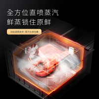 荣事达(Royalstar)JJZT-9671ASZK体感变频上蒸下烤集成灶天然气+900超声波集成水槽康美迪洗碗机套装