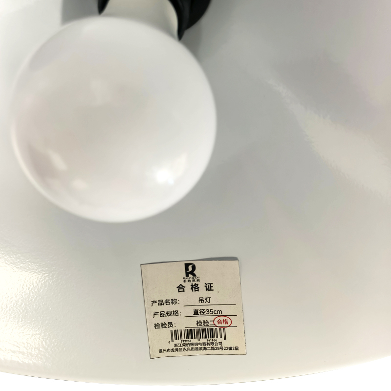 RS 荣的吊灯 直径35cm 个