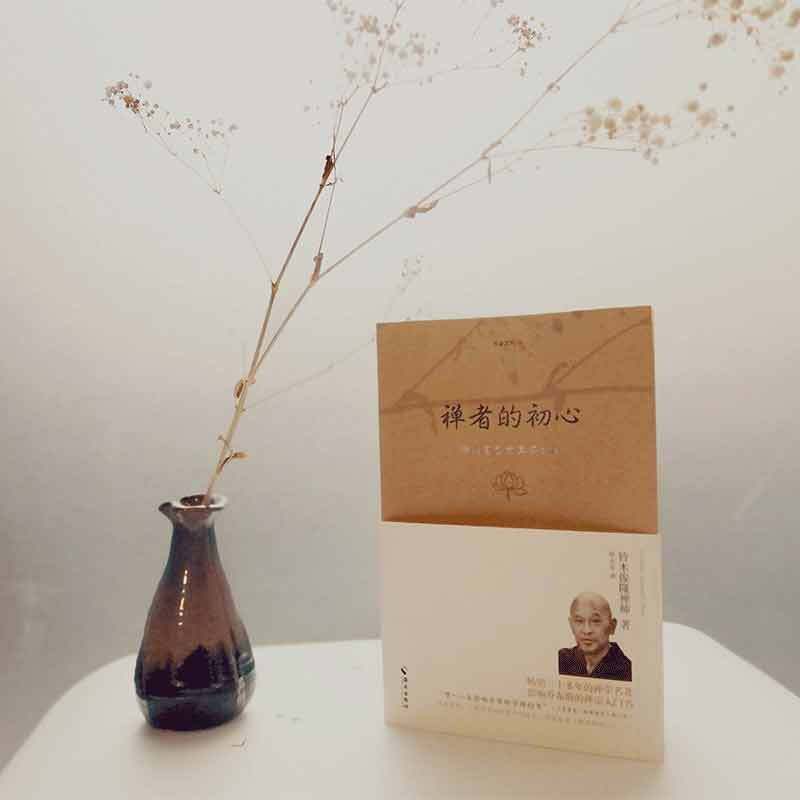 禅者的初心 (日)铃木俊隆 著;梁永安 译 著 社科 文轩网
