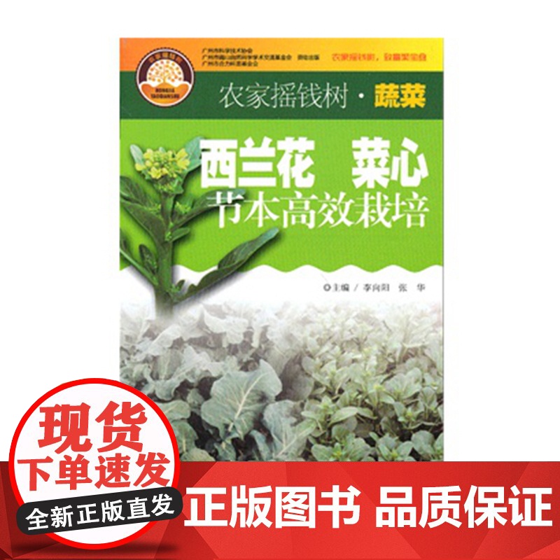 [] 西兰花菜心节本高效栽培 农家摇钱树 广东科技出版社店图书高清大图
