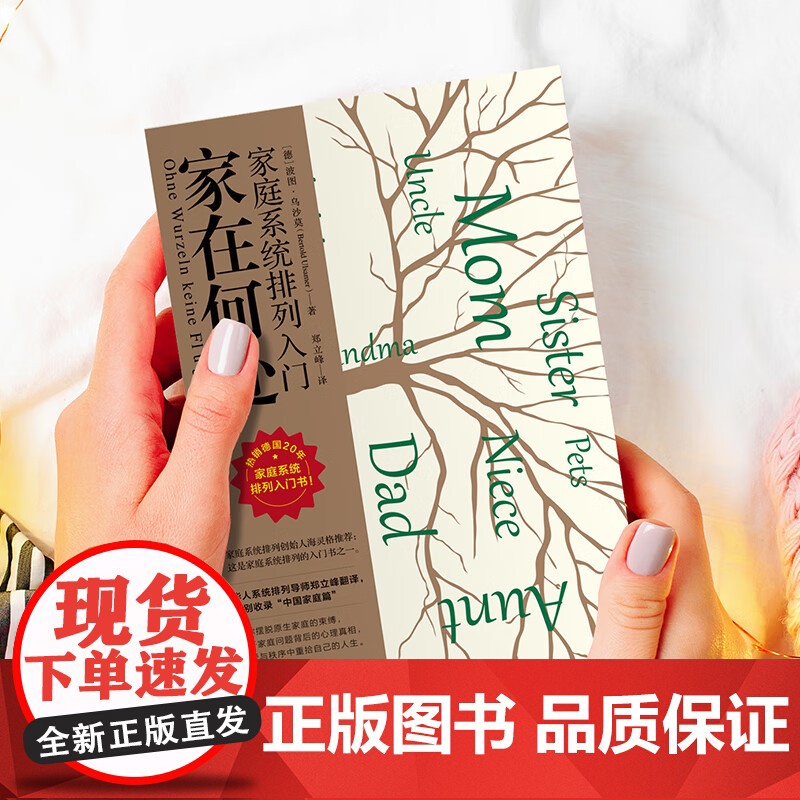 家在何处 家庭系统排列入门 波图·乌沙莫 著 心理学高清大图
