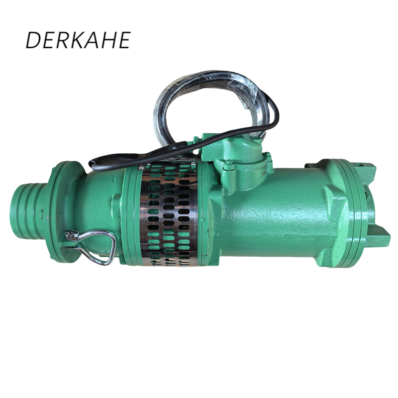 DERKAHE 油浸式潜水电泵 QY25-26-3 台高清大图
