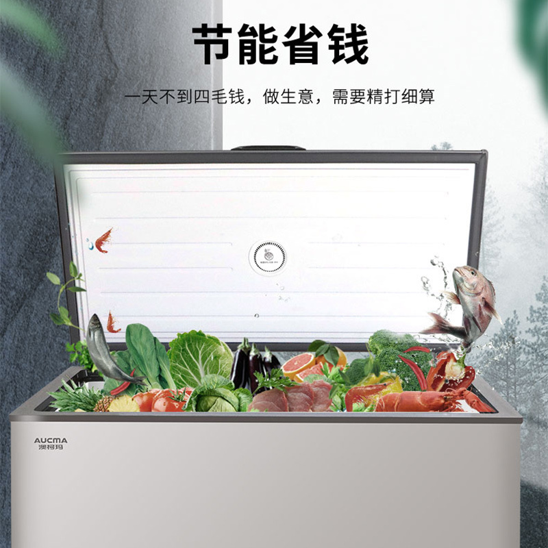 澳柯玛BC/BD-308HNEV 308L家用商用卧室冷柜一级节能减霜少霜冰柜顶开冷冻冷藏冰箱