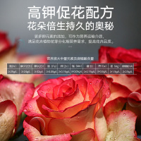 史丹利1810玫瑰兰花月季花肥料专用液体室内养花通用型盆栽营养液