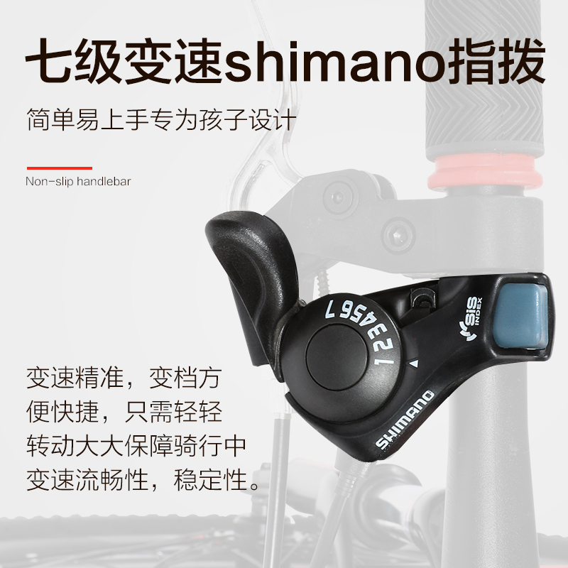 飞鸽儿童自行车中大童男女孩小学生10岁青少年20寸单山地车脚踏车P1