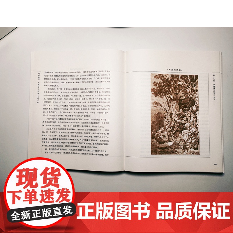 玛雅秘境:失落的四十四座尤卡坦古城 玛雅文明 古代文明揭秘 玛雅考古 玛雅文明消逝高清大图