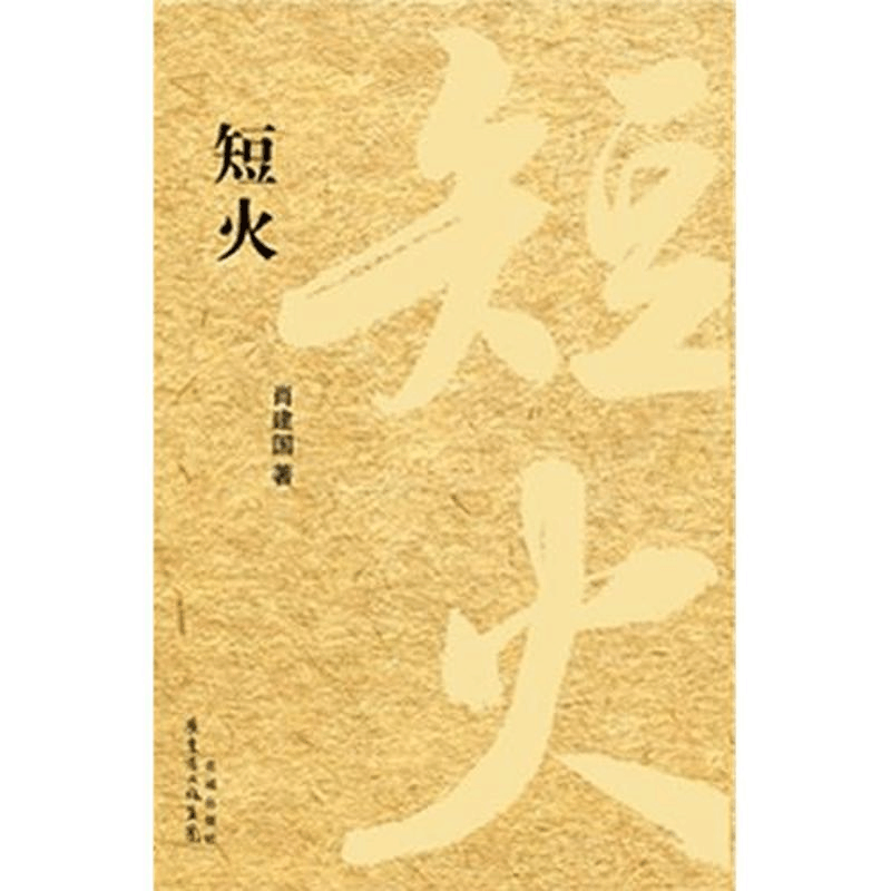 醉染图书短火9787536063525图片